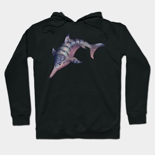 Cozy Ichthyosaurus Hoodie